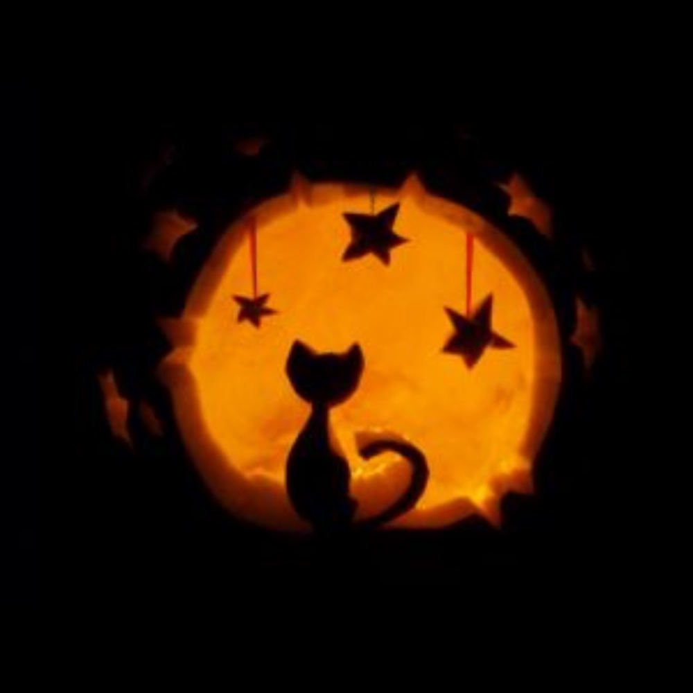 Meet your Posher, Janea